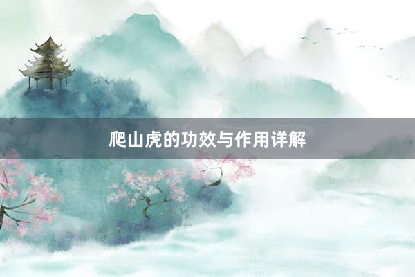 爬山虎的功效与作用详解
